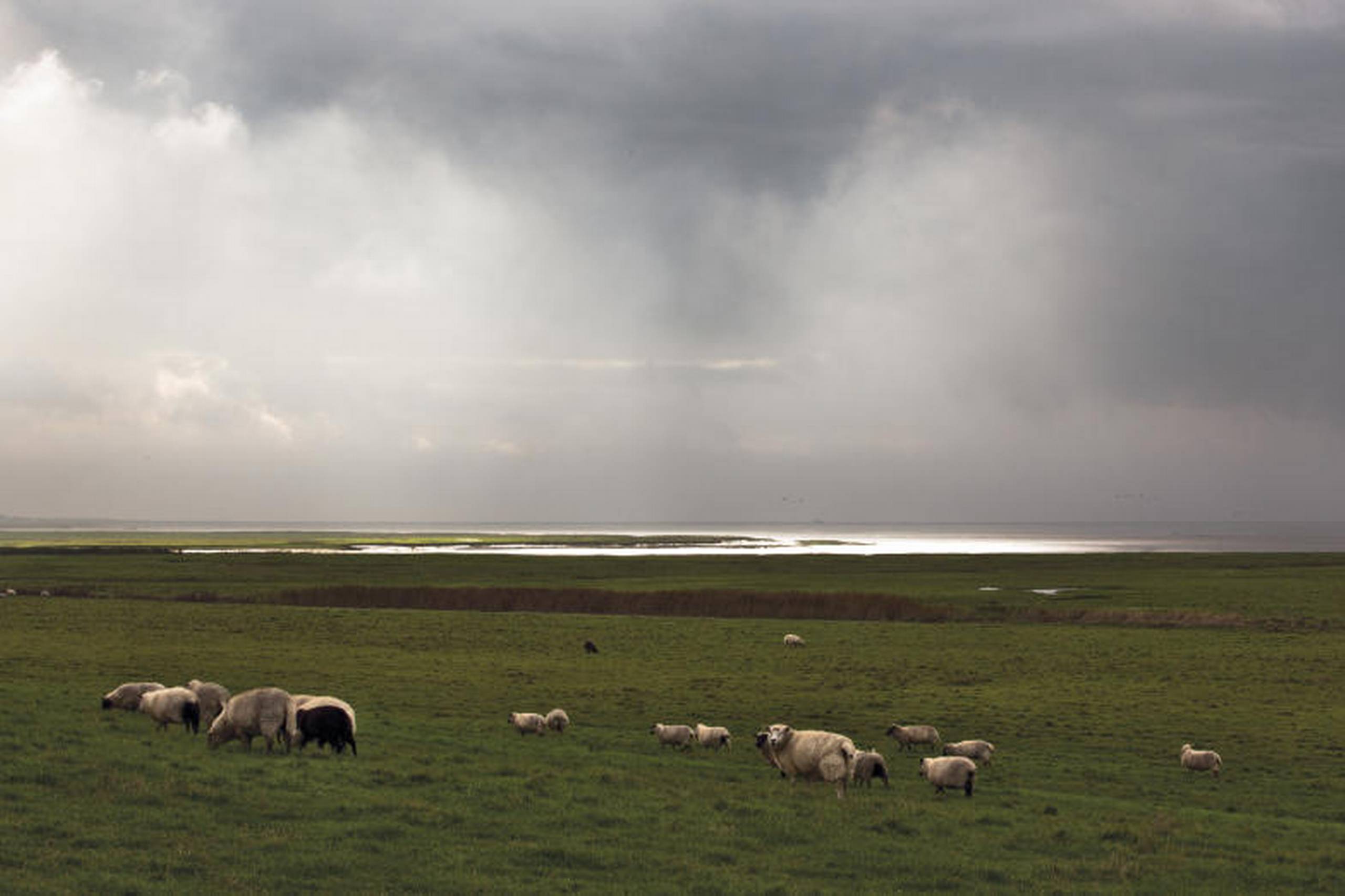 Foto: Jens Kr. Kjaergaard