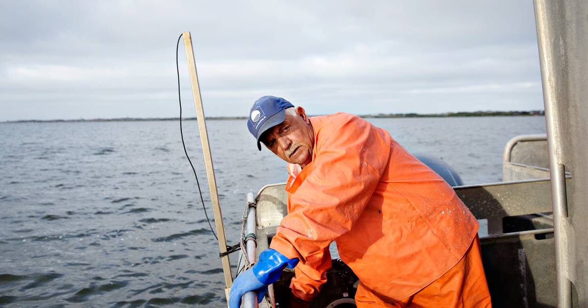 Fiskeskipper I 44 år: »Jeg Var Seks år, Da Jeg Fik Lov Til At Sejle Ud ...