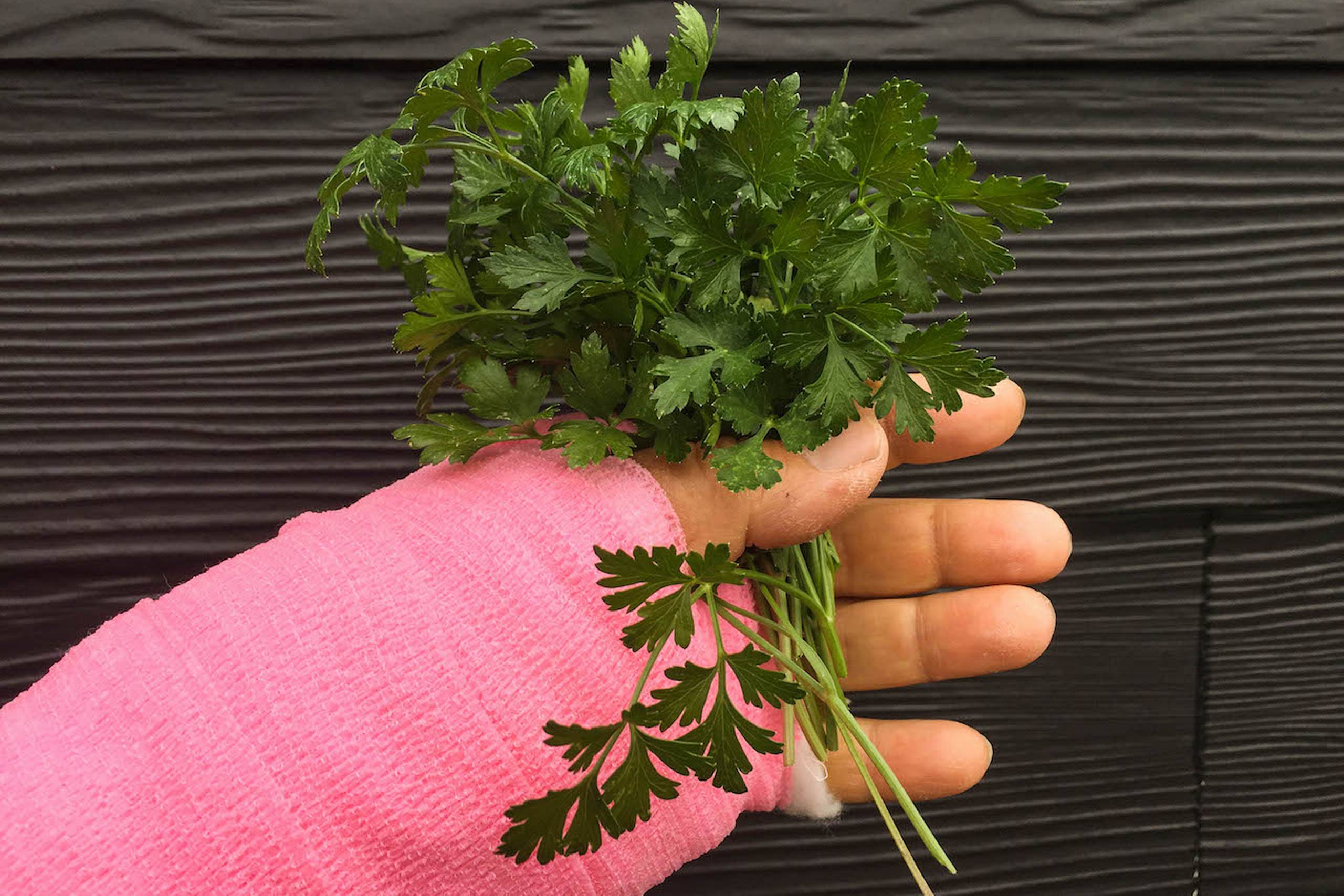 Persille er en af de madvarer, der er fyldt med K-vitamin, som bl.a. knoglerne nyder godt af. Foto: Karen Lyager