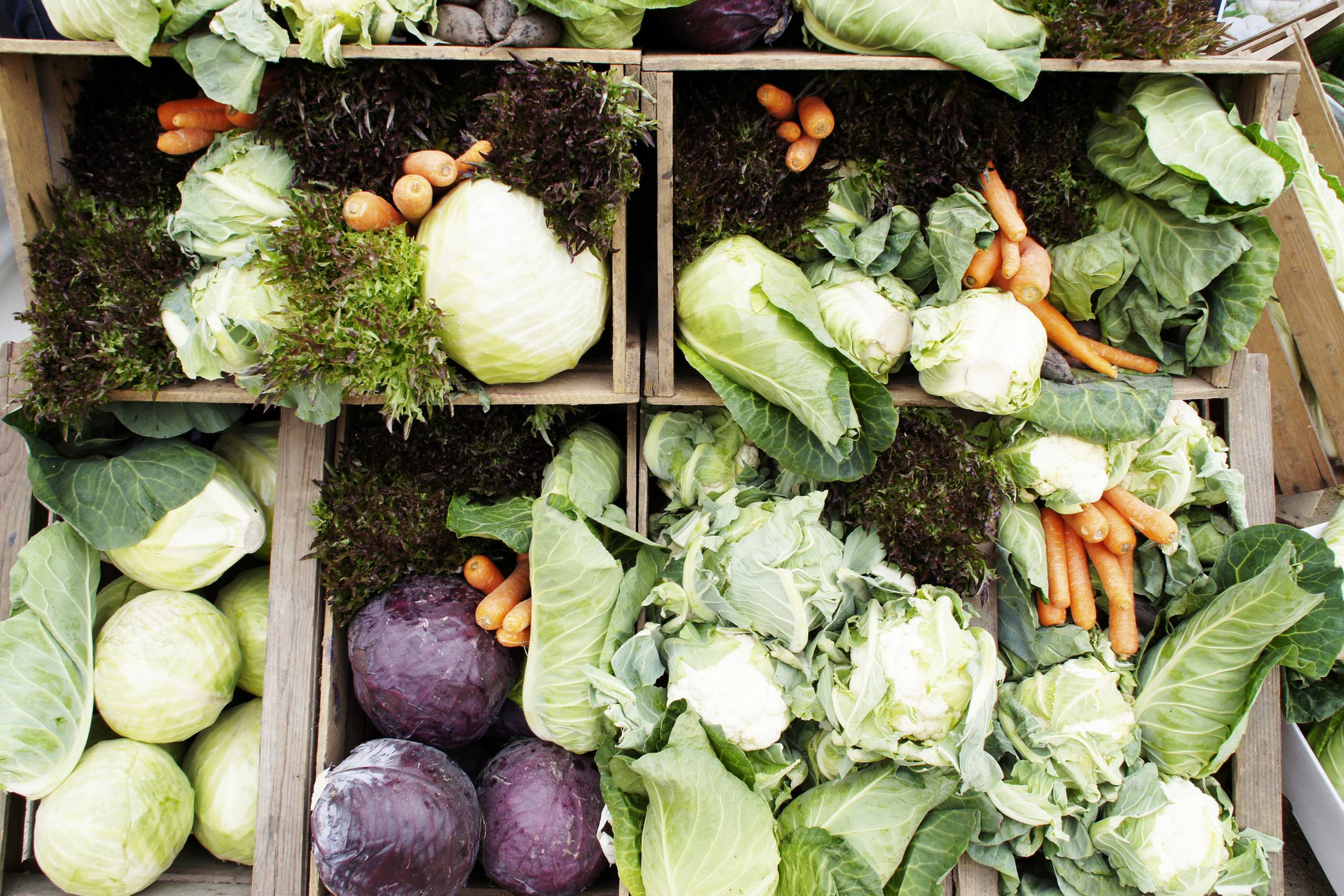 Foto: Henrik R. Andersen