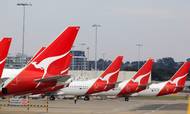Australske Qantas har mere end 200 destinationer verden over. Foto: Rick Rycroft