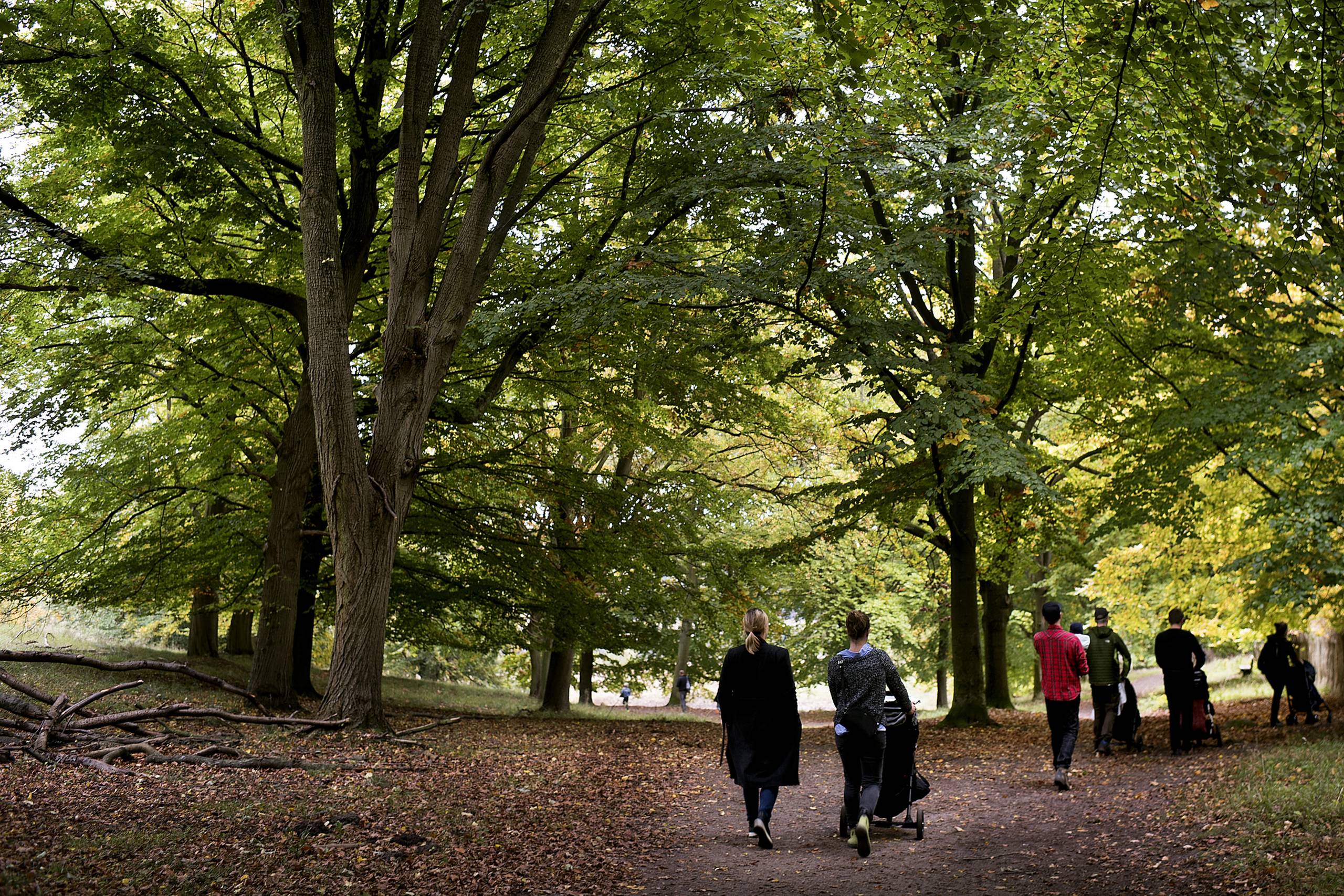 Arkivfoto: Liselotte Sabroe/Ritzau Scanpix