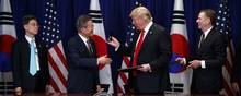 Den amerikanske præsident Donald Trump i selskab med sin sydkoreanske kollega Moon Jae-In. Foto: Evan Vucci/AP