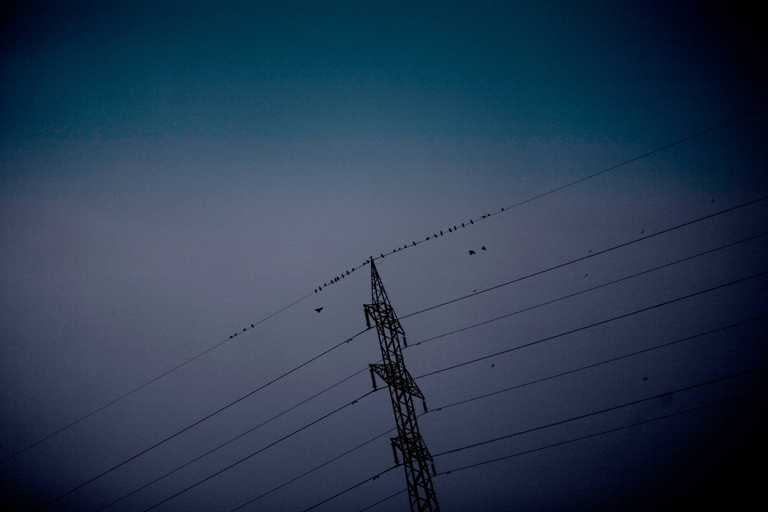 Arkivfoto: Carsten Ingemann