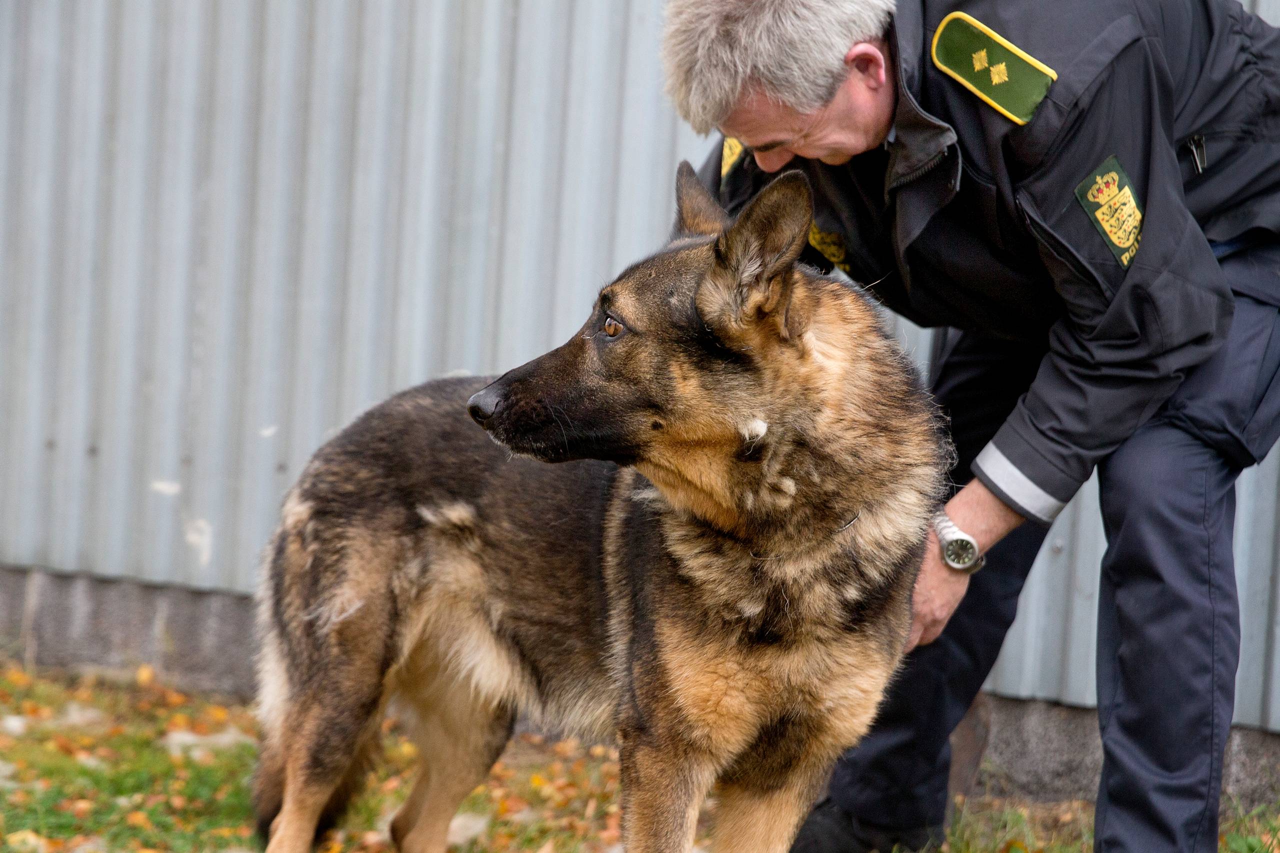 Per Nielsen er landbetjent på Læsø og den sidste landbetjent i Nordjylland. Men flere ønsker landbetjentfunktionen genoplivet. Arkivfoto: Finn Frandsen/Polfoto