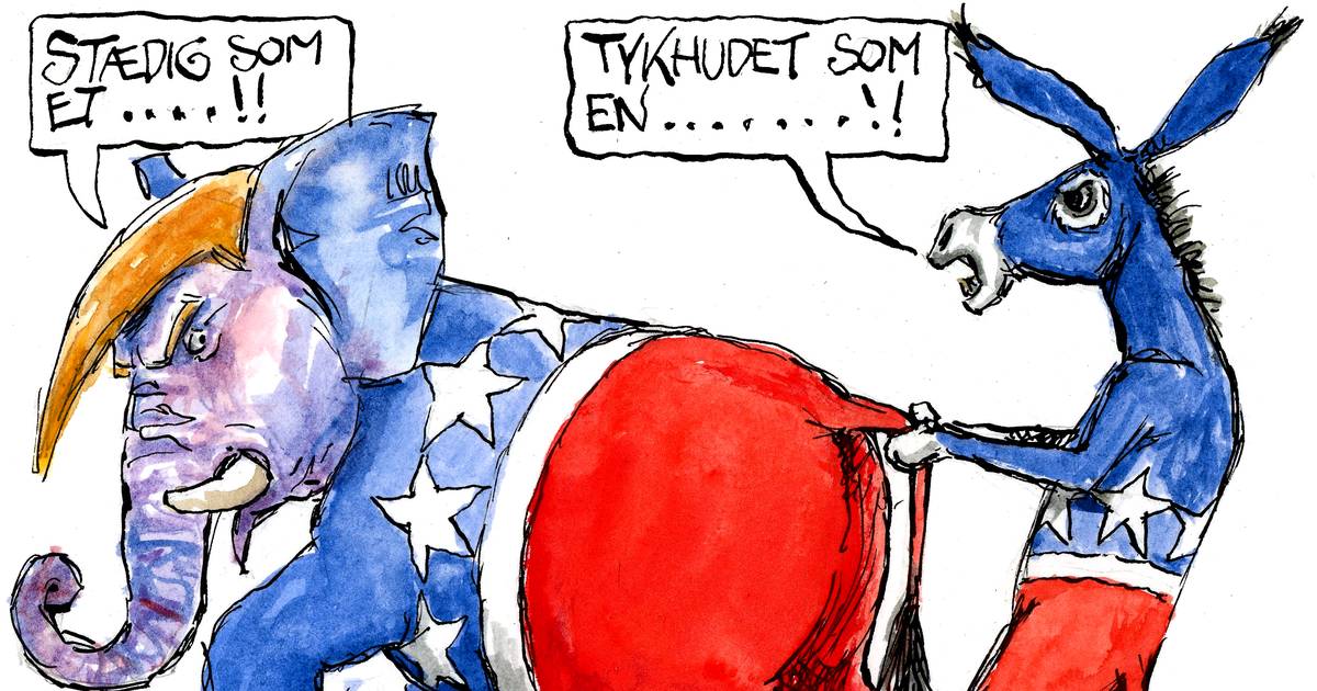 Dagens tegning: En over snablen