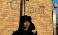 En politimand står vagt foran den canadiske ambassade i Beijing. De to lande er midt i en voldsom diplomatisk strid, efter at Canada på USA's anmodning anholdt Meng Wanzhou, finansdirektør for den kinesisk telegigant Huawai. Striden kompliceres af handelskrigen mellem USA og Kina. Foto: AP/Andy Wong