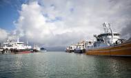 Landingerne af industrifisk i danske havne er reduceret voldsomt på få år. Det rammer fiskeindustrien hårdt og medfører nedskæringer og lukninger på fabrikkerne.
Foto: Gorm Olesen