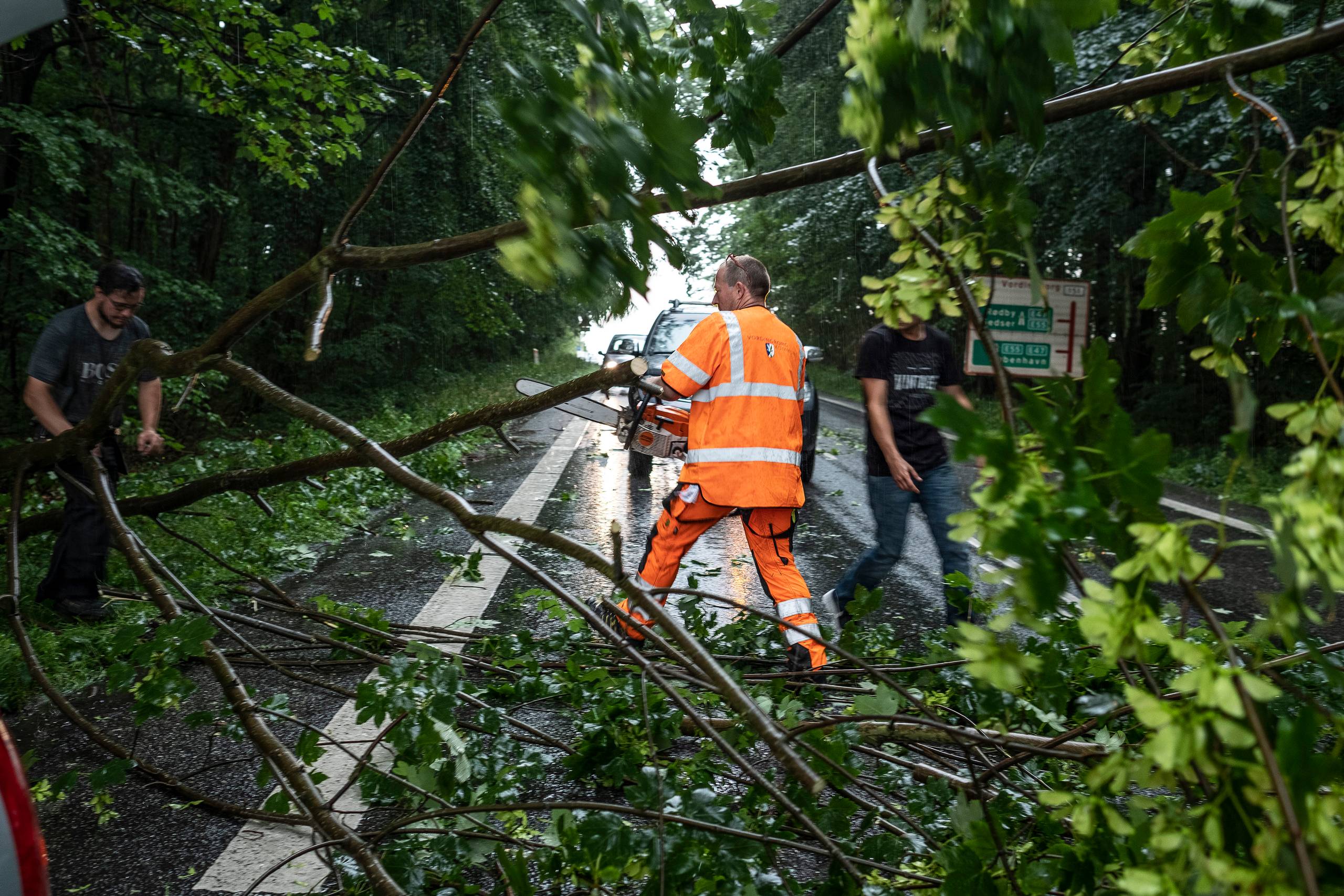 I Sydjyllands Politis kreds er der væltet mindst tre træer ud over kørebanen i nat. Arkivfoto: Per Rasmussen
  