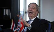 Brexit-forkæmperen Nigel Farage trækker sig fra rampelyset. Foto: Yves Herman/Reuters