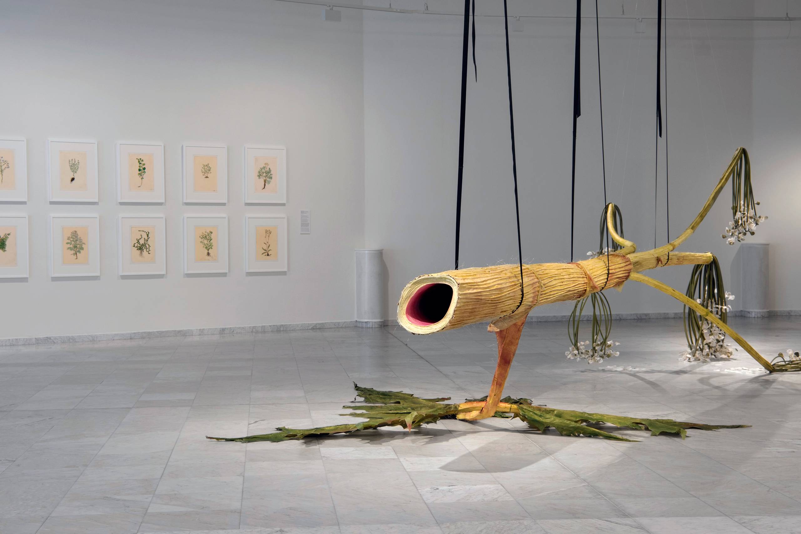 Ingela Ihrman: ”The Giant Hogweed”, 2015. Mixed media. Foto: Marie von Krogh

