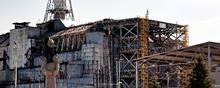Svampe fundet ved en eksploderet atomreaktor i Tjernobyl er i stand til at høste energi fra radioaktiv stråling. Foto: Martin Lehmann