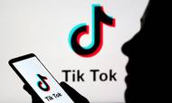 Trump har flere gange udtalt sig kritisk om TikTok, og i slutningen af juli sagde han, at han planlagde et forbud mod appen. Arkivfoto: Dado Ruvic/Reuters