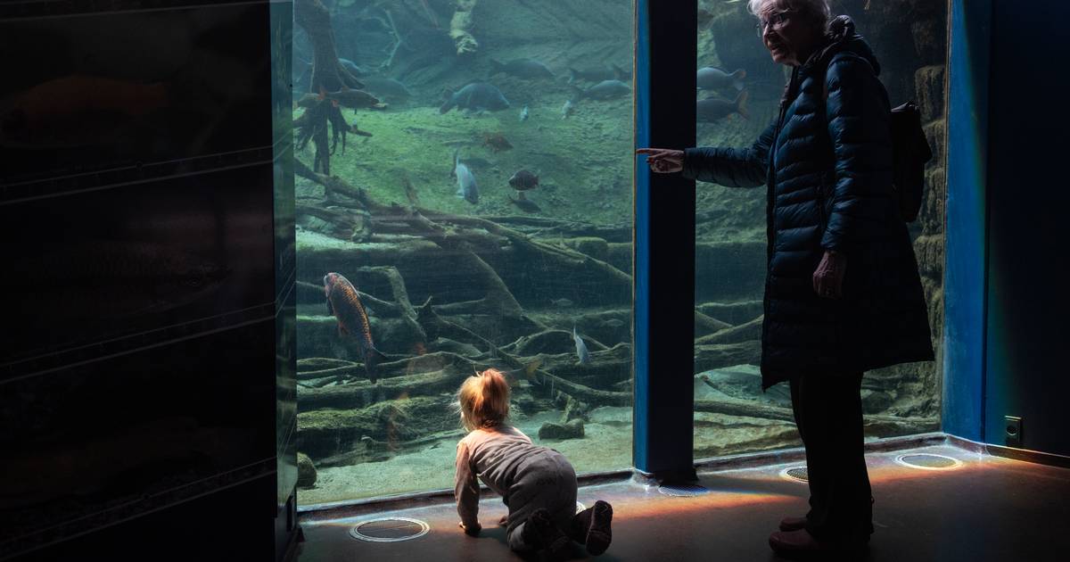 ny-hj-lpepakke-p-vej-til-aqua-jyllands-posten