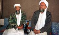 Al-Qaeda-lederen Osama bin Laden (tv.) sidder ved siden af sin højre hånd og senere afløser, egypteren Ayman al-Zawahiri, under et interview med den pakistanske journalist Hamid Mir i november 2001 efter terrorangrebet på USA. 
Foto: Hamid Mir/Reuters