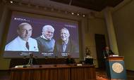 De tre forskere Harvey J. Alter, Charles M. Rice og Michael Houghton blev i dag udpeget som modtagere af Nobelprisen i medicin for deres arbejde med hepatitis C-virusset. Foto: Jonathan Nackstrand/Ritzau Scanpix