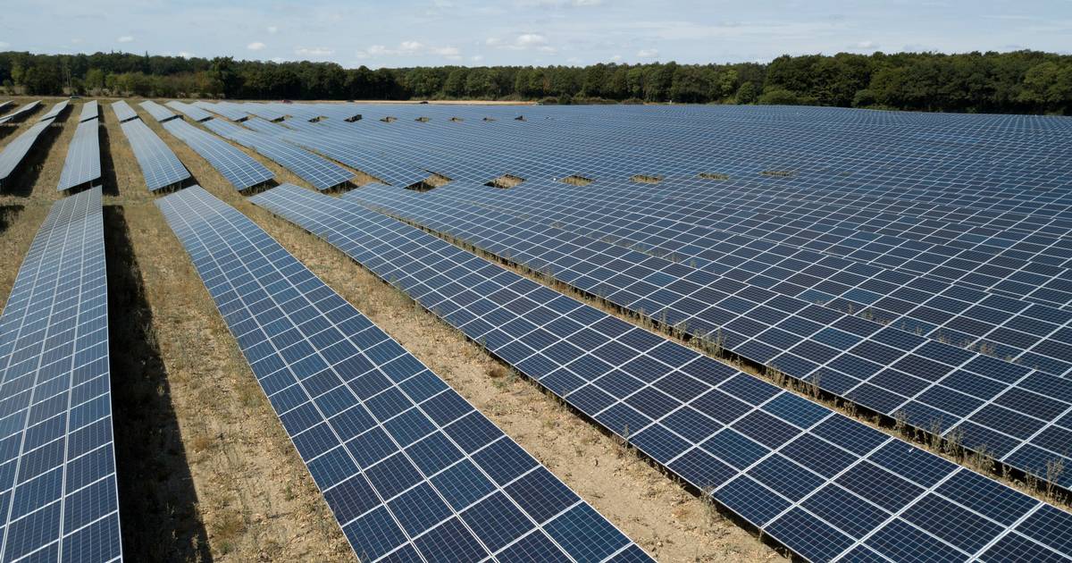 Grønt Energieventyr: Solenergi Fylder Mere Og Mere I Elnettet