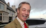 Nigel Farage, der er mest kendt for sin brexitmodstand og står i spidsen for Brexit Party, skifter nu fokus: Partiet skifter navn til Reform UK, og det politiske formål er nu at bekæmpe coronarestriktioner. Foto: Reuters/Scott Heppell