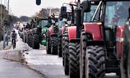Det er ikke første gang, landmænd demonstrerer på vejene. Her er det fra en lignende demonstration i Aalborg lørdag den 14. november. Arkivfoto: Henning Bagger/Ritzau Scanpix