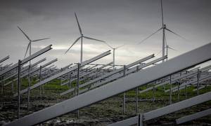 EU's plan for at bremse energiprisstigningerne risikere at bremse udbygningen af vedvarende energi, lyder det fra bekymrede danske erhvervsorganisationer. Billedet her er fra Better Energys solcellepark ved landsbyen Bur nær Hostebro. Foto: Casper Dalhoff