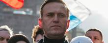 Den fængslede oppositionspolitiker Aleksej Navalnyj. Foto: Shamil Zhumatov/Ritzau Scanpix