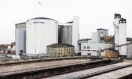 Nordic Sugar veksler i dag sukkerroer til dansk sukker ved brug af olie og kul. Fra 2024 skal en ny gasledning med bl.a. biogas gøre sukkerproduktionen mere klimavenlig. Foto: Gregers Tycho.