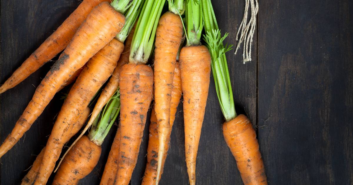 Sandt falsk: Kan gulerødder virkelig kurere dit svage syn?