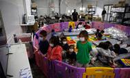 Uledsagede børn i alderen tre til ni år ser tv i en kravlegård i flygtningecenteret i byen Donna i Texas. Foto: Dario Lopez-Mills/AFP