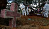 En kiste blev sænket i jorden den 14. april på Vila Formosa-kirkegården i Sao Paulo. Knap 366.000 brasilianere var her op til weekenden døde som følge af covid-19, og landet har registreret over 13,7 mio. smittetilfælde. Foto: Miguel Schincariol/AFP