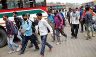 Migrantarbejdere løber efter en bus i et forsøg på at komme ud af New Delhi, efter at bystyret har dekreret en ugelang nedlukning for at bremse et nyt voldsomt covid-19-udbrud i hovedstaden. Foto: Adnan Abidi /Reuters