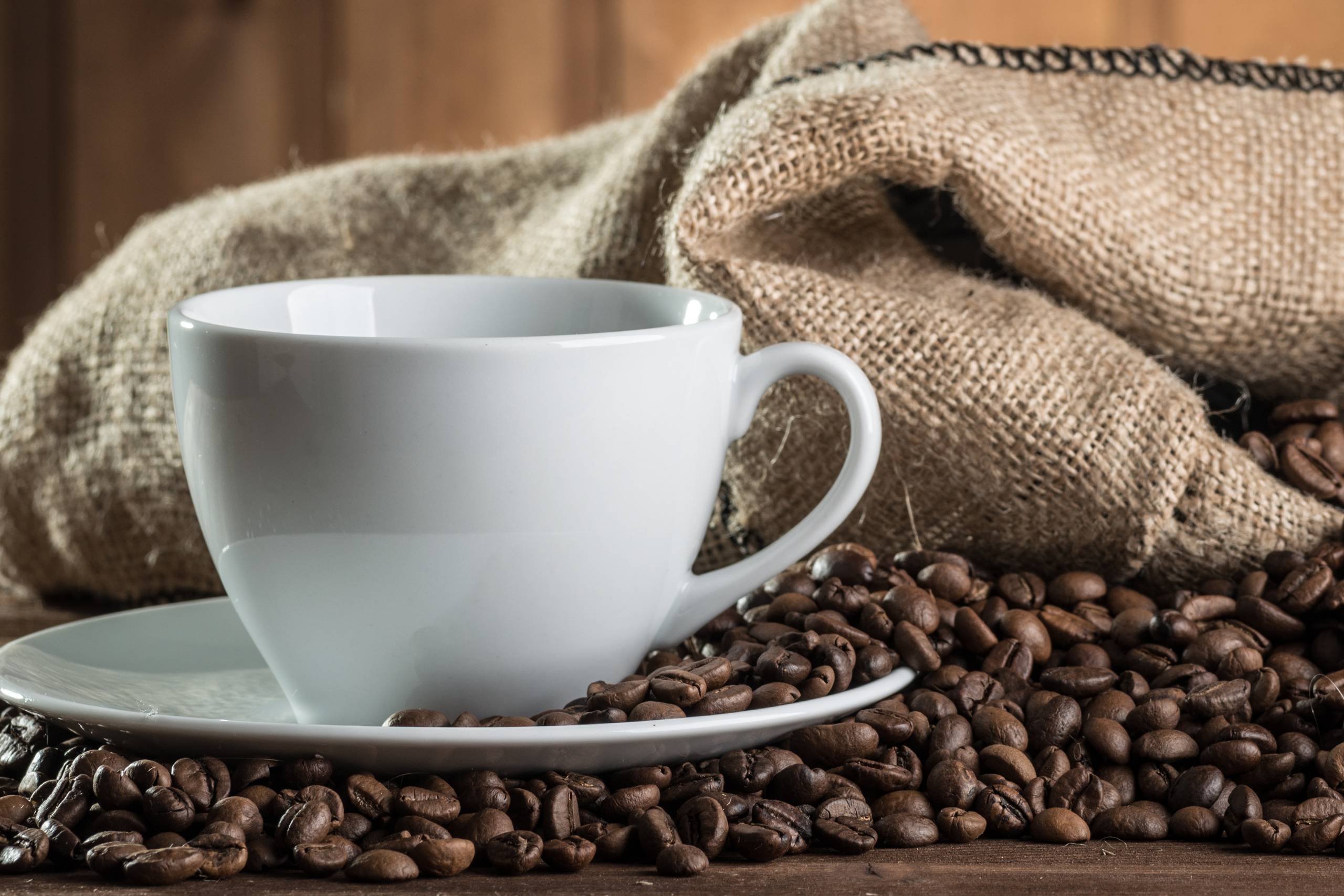 Kaffekop omgivet af kaffebønner - Moccamaster