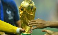 Siden 1950 er VM blevet afholdt hvert fjerde år.  Foto: Dylan Martinez/Reuters