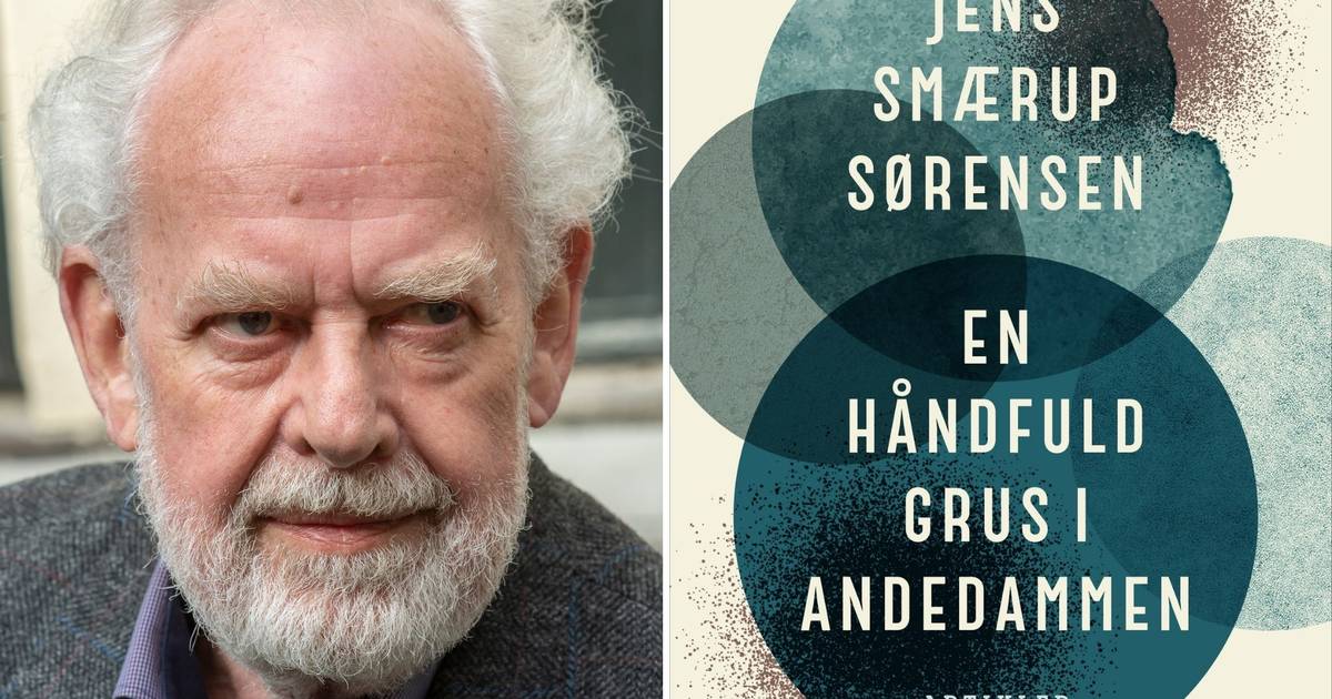 Anmeldelse: Jens Smærup Sørensen Kaster "en Håndfuld Grus I Andedammen ...