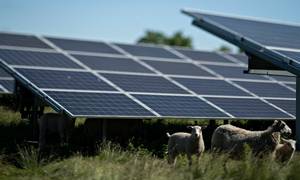 En bæredygtig fond, som bl.a. investerer i solenergi i Europa, er blevet nødt til at lukke midlertidigt for nye indskud, da den har flere penge, end den kan nå at finde investeringer til. Foto: Brian Karmark