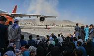 Afghanere venter på at blive evakueret fra lufthavnen i Kabul, efter Taleban har indtaget den afghanske hovedstad. Foto: Wakil Kohsar/AFP.