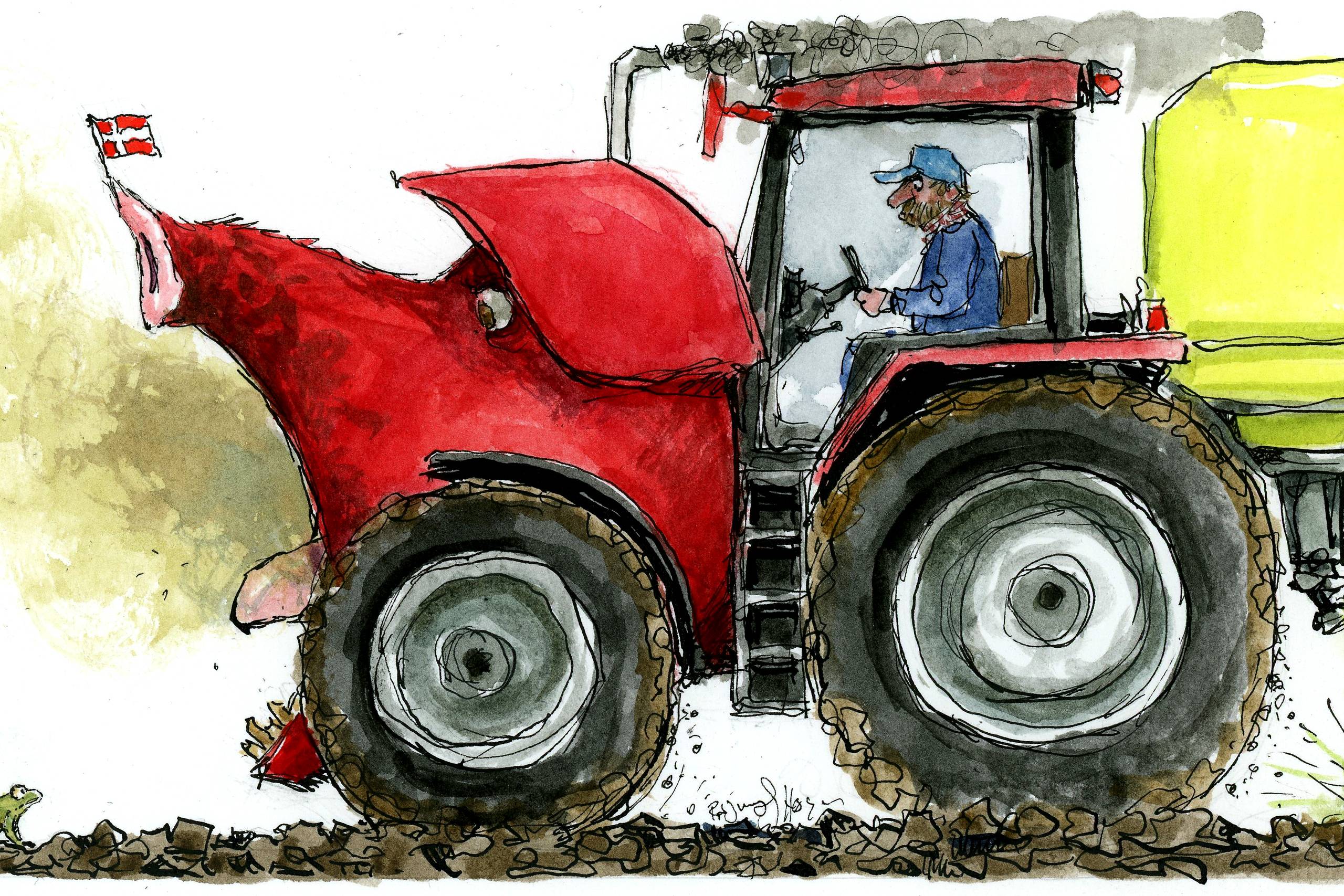 Landbrugets modvilje​ overfor forandringer, der kan bidrage til øget dyrevelfærd og miljø- og klimaforbedringer, kalder nu på politisk handling og stram styring, mener Esben Sloth fra World Animal Protection Danmark. Arkivillustration: Rasmus Sand Høyer