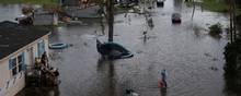 Presset på hospitalerne i Louisiana har været begrænset trods orkanen Idas hærgen. Foto: Adrees Latif/Reuters