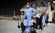 Evakuerede fra Afghanistan, herunder flere amerikanske statsborgere, ses her efter ankomsten til Doha på et Qatar Airlines-fly. Flyet blev  den 9. september  det første kommercielle fly ud af Kabul efter USA's tilbagetrækning. Foto: Nooman Ben/Reuters