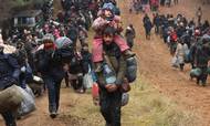 Tusinder af migranter fra Mellemøsten blev fløjet til den hviderussisk-polske grænse i november som et led i en storstilet hybrid krigsførelse mod EU. Det er kun det seneste eksempel på den nye type krig mod Vesten. Foto: Oksana Mansjuk/AFP