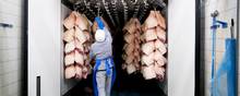 Eksporten af svinekød til Kina er næsten gået i stå, og på nærmarkederne i Europa skærer forbrugerne ned på deres indkøb af kød. Det svage salg rammer priserne og udløser store tab for landmændene.
Foto: Gregers Tycho