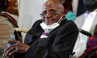 Desmond Tutu er død, oplyser den sydafrikanske præsident. Han blev 90 år. Arkivfoto: Sumaya Hisham/Reuters