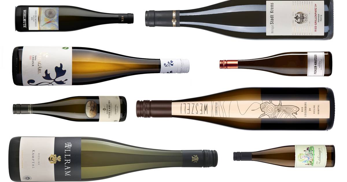 Stor vintest af østrigsk riesling: Testens tre billigste vine løber ...