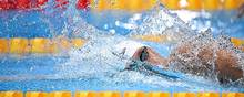 De russiske og hviderussiske svømmere må gerne deltage i internationale konkurrencer - men kun som neutrale. Arkivfoto: Oli Scarff/Ritzau Scanpix