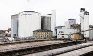 Regeringen har besluttet, at der skal etableres en ny gasledning fra Sjælland til bl.a. to sukkerfabrikker på Lolland og Falster. Foto: Gregers Tycho