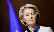EU-Kommissionens formand, Ursula von der Leyen. Arkivfoto: Sarah Meyssonnier/Reuters