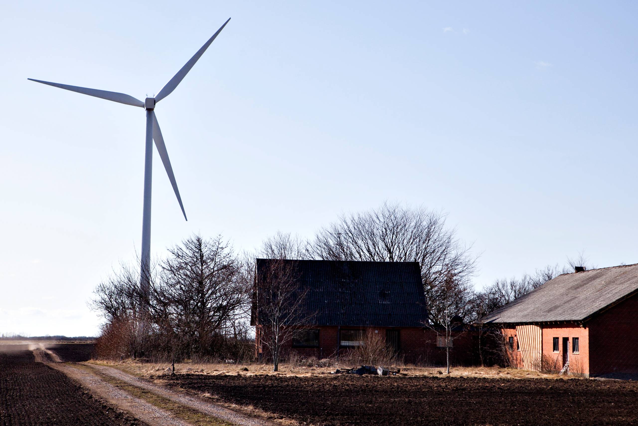 Fordelingen af kapaciteten i landvindmøller i Danmark er koncentreret om Vestdanmark. Foto. Gregers Tycho