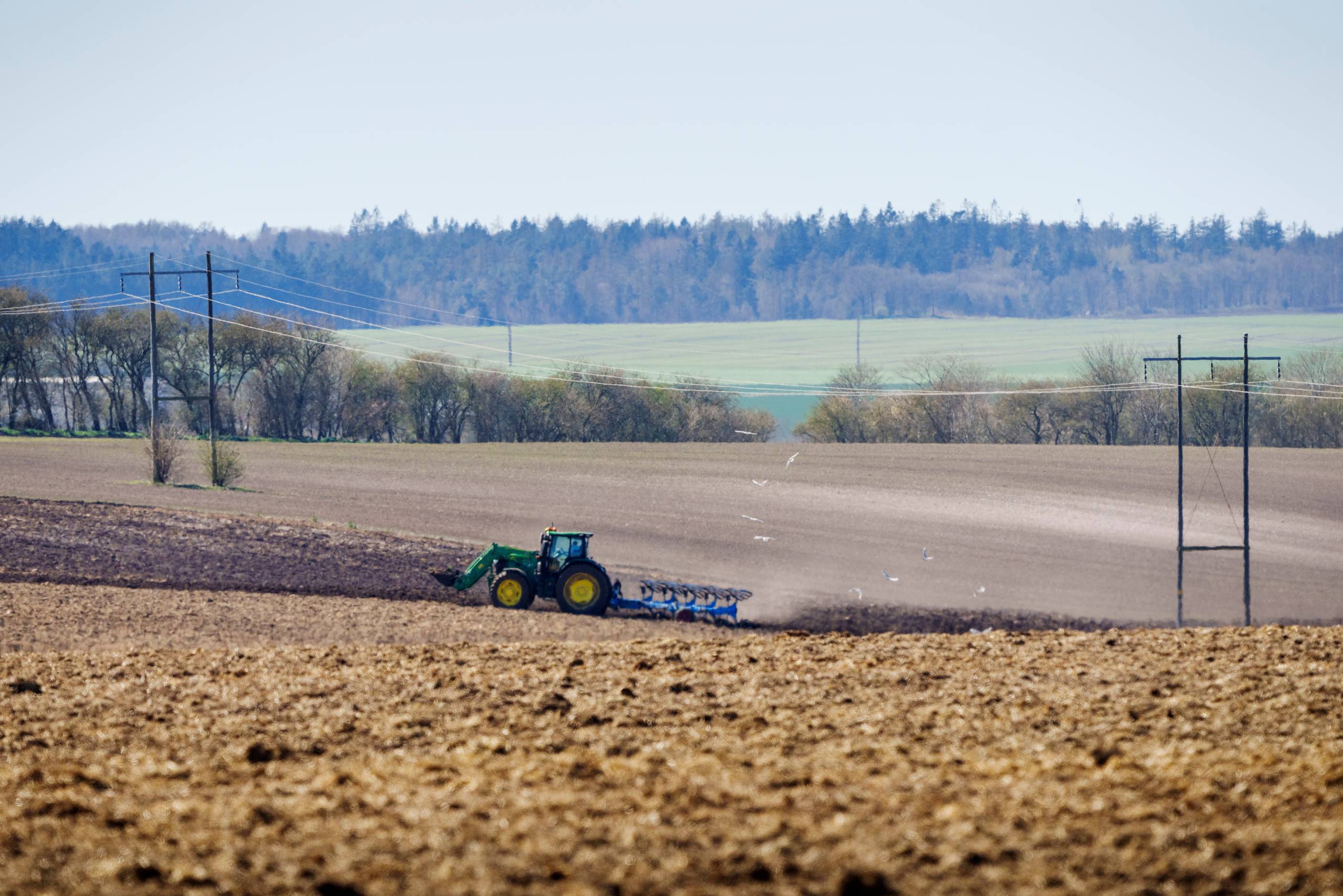 I EU vil man droppe den planlagte brakordning. Næsten alle lande stemte for at droppe den på grund af den nuværende situation, dog stemte to lande blankt, mens Danmark var ene om at stemme imod, skriver Niels Hauge Mikkelsen. Arkivfoto: Bo Amstrup  