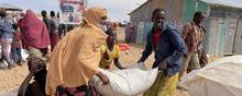 Lokale i en lejr for internt fordrevne i Etiopien hjælper hinanden med at bære sække med korn. Afrikas Horn oplever lige nu den værste tørke i 40 år, og hjælpeorganisationer advarer om, at en alvorlig sultkrise ikke kan undgås. Foto: WFP/Reuters