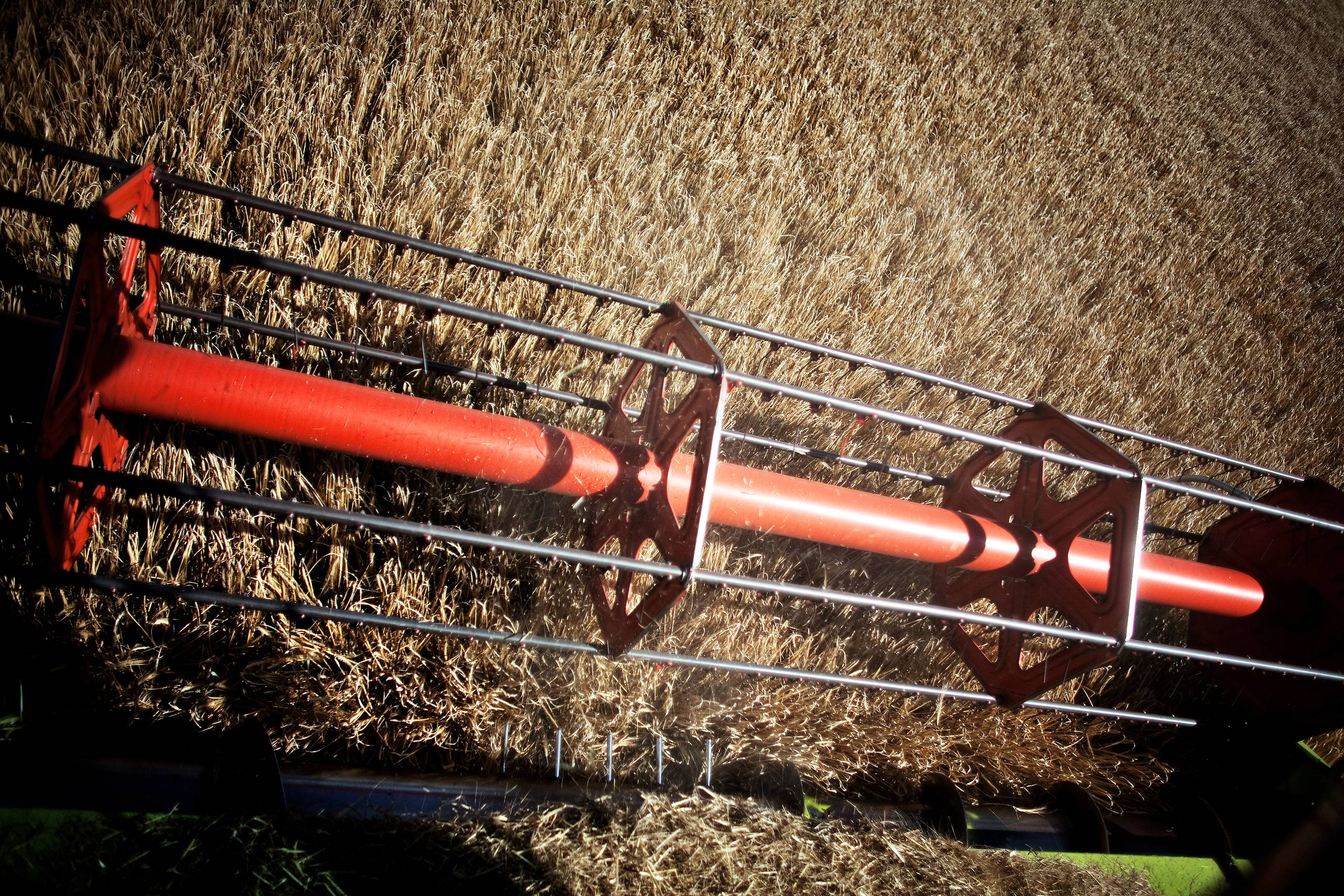 Det hævdes, at hovedårsagen til fødevaremanglen er Ruslands særlige militæroperation i Ukraine og Ruslands blokering af ukrainsk korneksport i Sortehavets havne. Dette er bedrag, skriver Ruslands ambassadør i Danmark, Vladimir Barbin. Arkivfoto: Joachim Adrian 