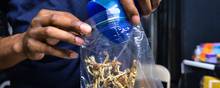 Sager med forsøgt indsmugling af psykedeliske svampe er stigende. Foto:Richard Vogel/AP/Ritzau Scanpix